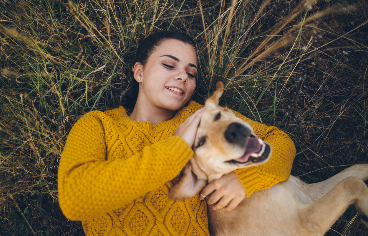 Naya Therapy - Mental Health Therapy for 20 to 29 year olds in Pennsylvania